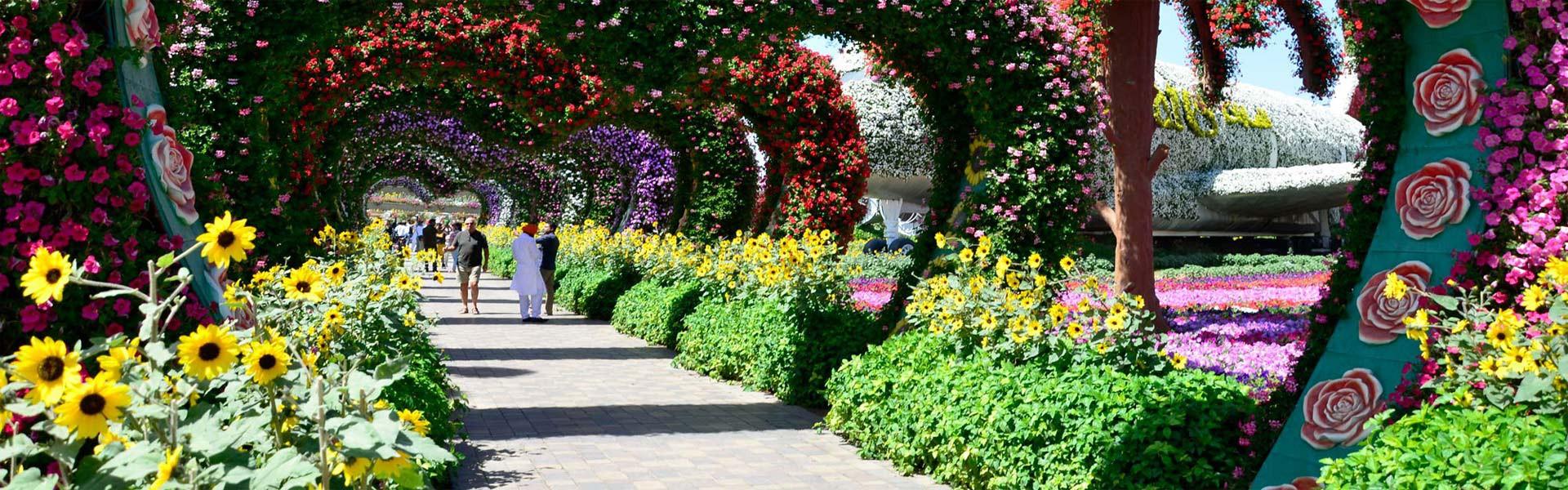 باغ گل میراکل دبی - Miracle Garden Dubai